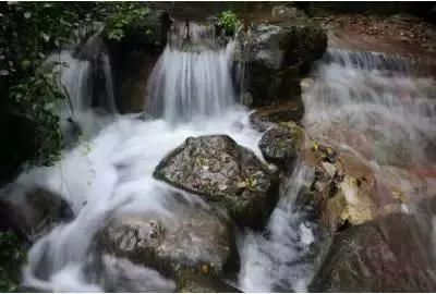 详细介绍上海旅游景点的英语作文带翻译- 专业的有问必答平台