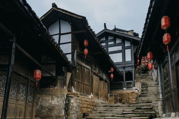 茂密丛林逃生